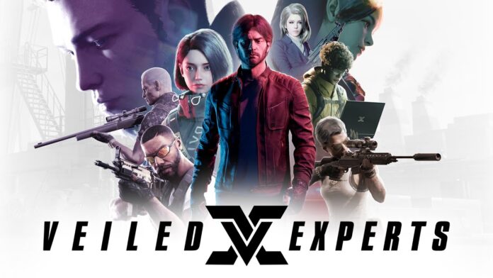 Main promotional poster for Veiled Experts.