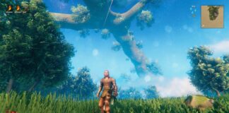 A player getting ready to take on the world of Valheim.